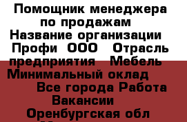 Помощник менеджера по продажам › Название организации ­ Профи, ООО › Отрасль предприятия ­ Мебель › Минимальный оклад ­ 60 000 - Все города Работа » Вакансии   . Оренбургская обл.,Медногорск г.